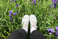 #color-white