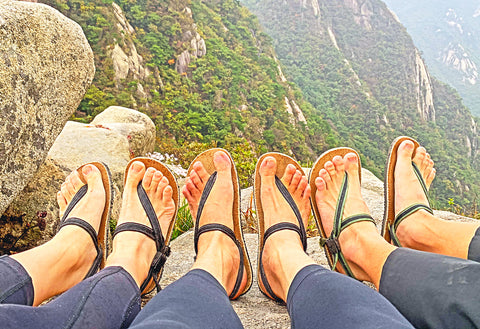 Circadian Earthing Package